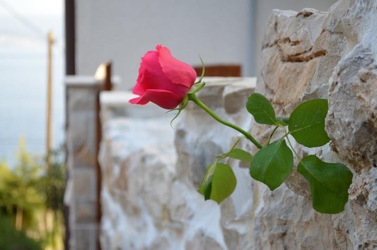 Holiday Villa In Omis Ruang foto