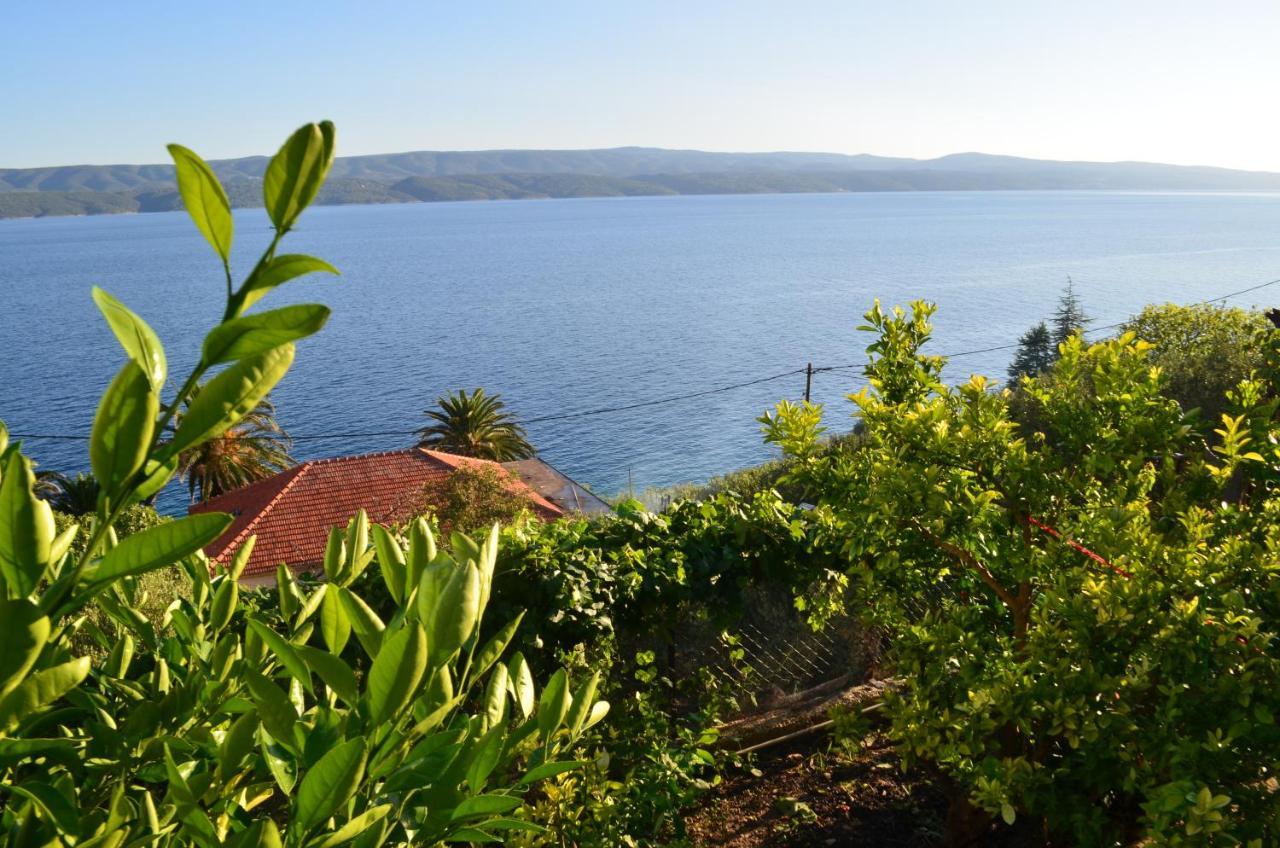 Holiday Villa In Omis Bagian luar foto